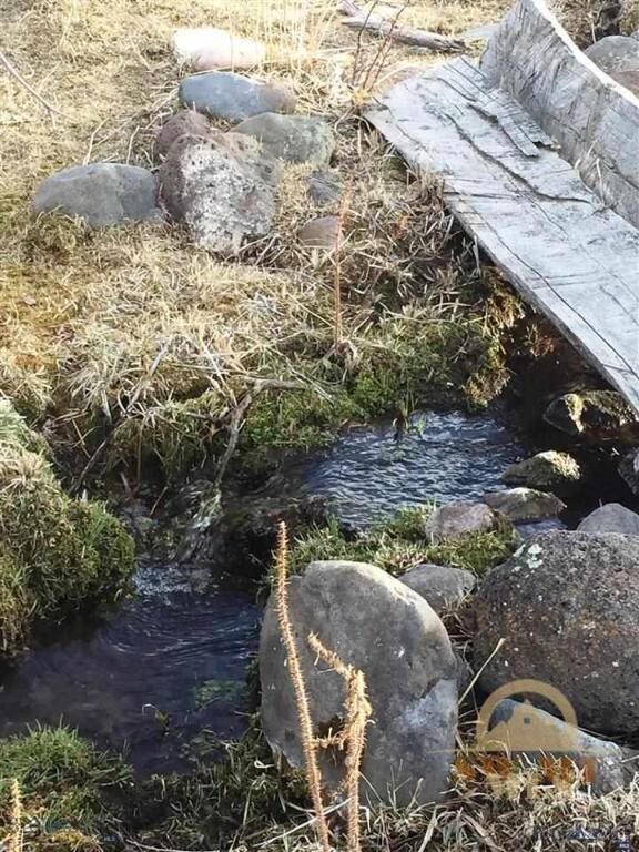 Cold Spring Creek