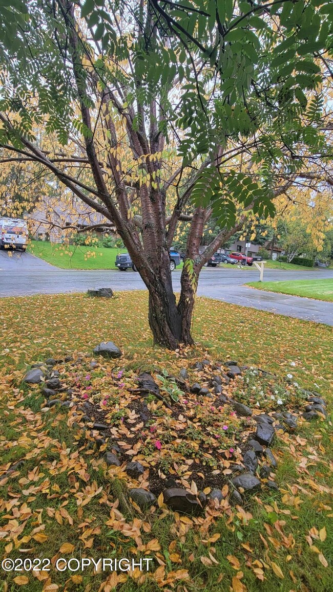 2420 Chandalar Dr, Anchorage, AK 99504 - photo 5