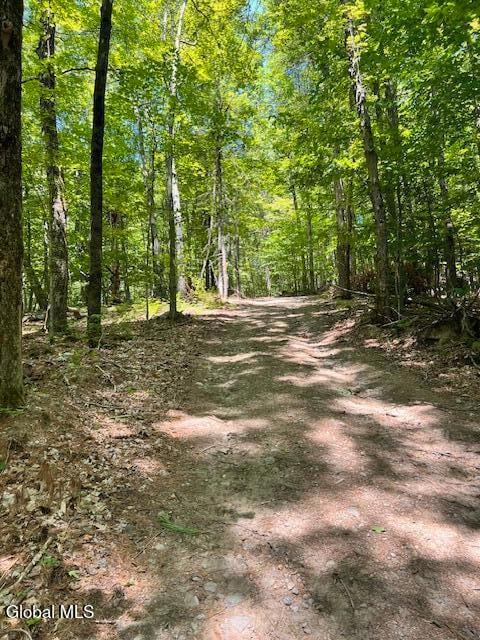 L7.41 Summit Lake Rd, Argyle, NY 12809 - photo 3