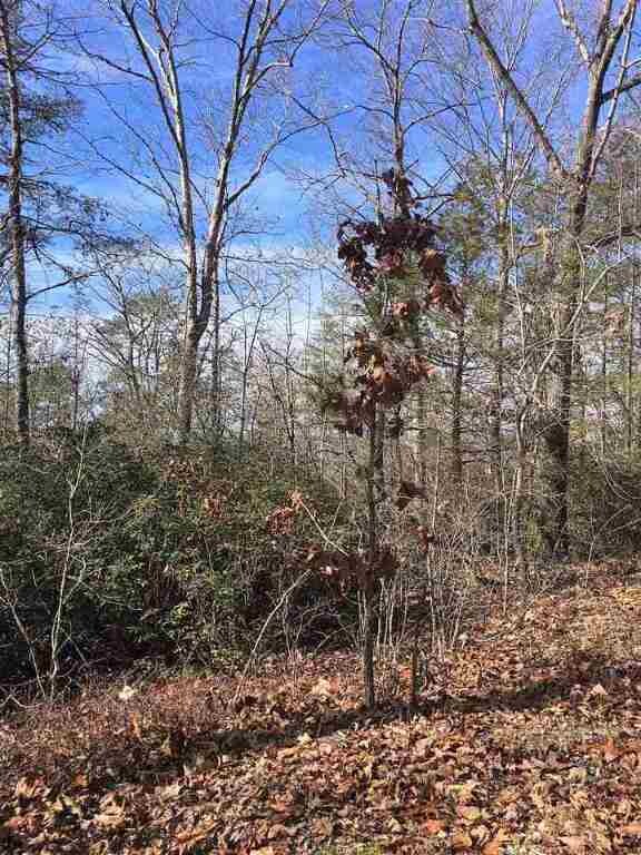 Lay Mill Rd Cowan Prop, Walhalla, SC 29691 - photo 4