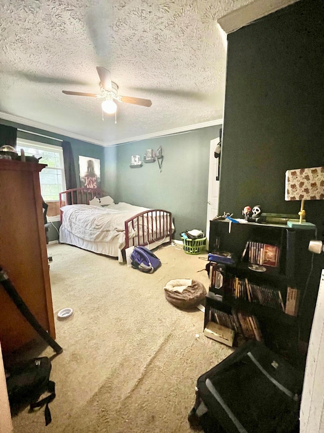 40040 Dill Rd, Hamilton, MS 39746 - photo 5