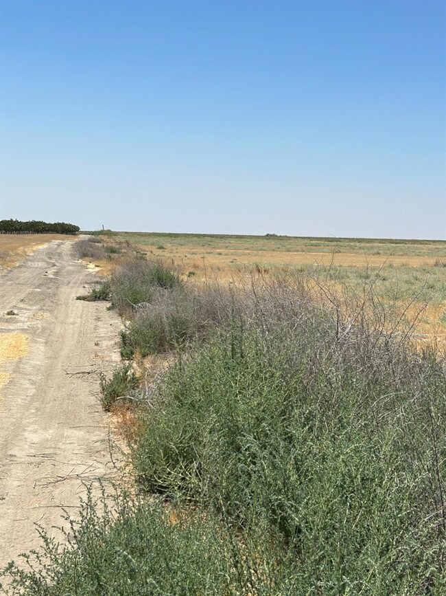 0 Ave 56 unit 2 633825, Alpaugh, CA 93201 - photo 4