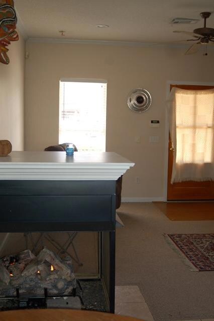 104 Greystone Blvd, Oxford, MS 38655 - photo 2