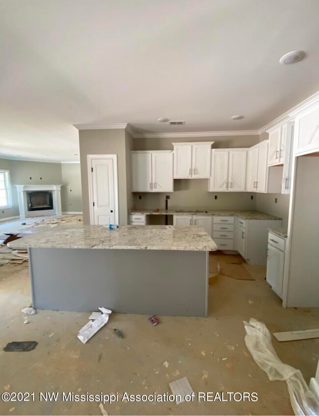 Lot 80, 3464 Delaney Kitchen