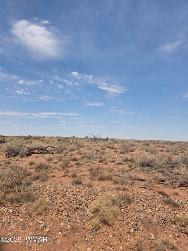 8317 Buckskin Trail, Snowflake, AZ 85937 - photo 7