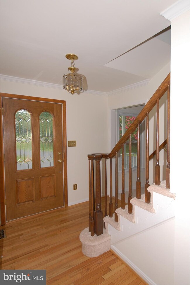 3605 Irish Moss Ct, Fairfax, VA 22033 - photo 3