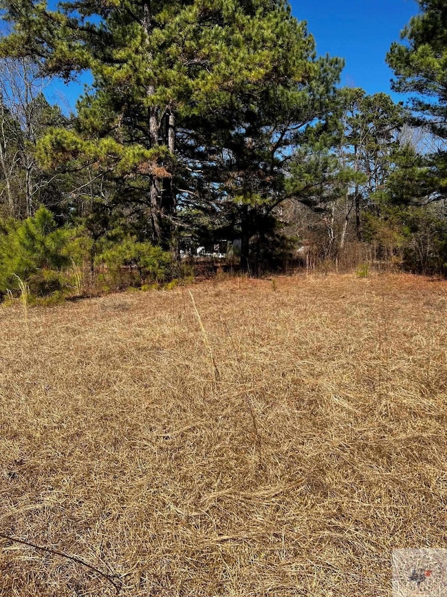 1977 Presley Rd, Texarkana, TX 75501 - photo 4