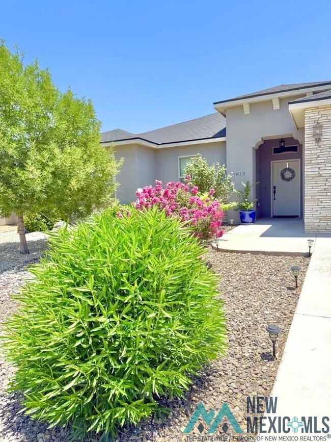 1612 Redwood Loop, Carlsbad, NM 88220 - photo 3