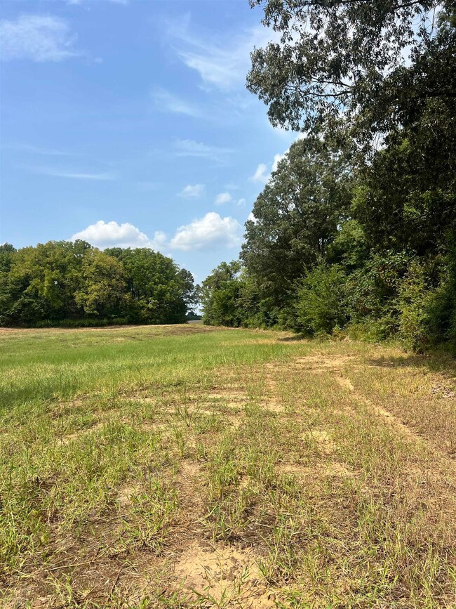 View of yard with a view of rural / pastoral area