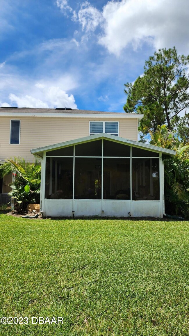 Rear View
