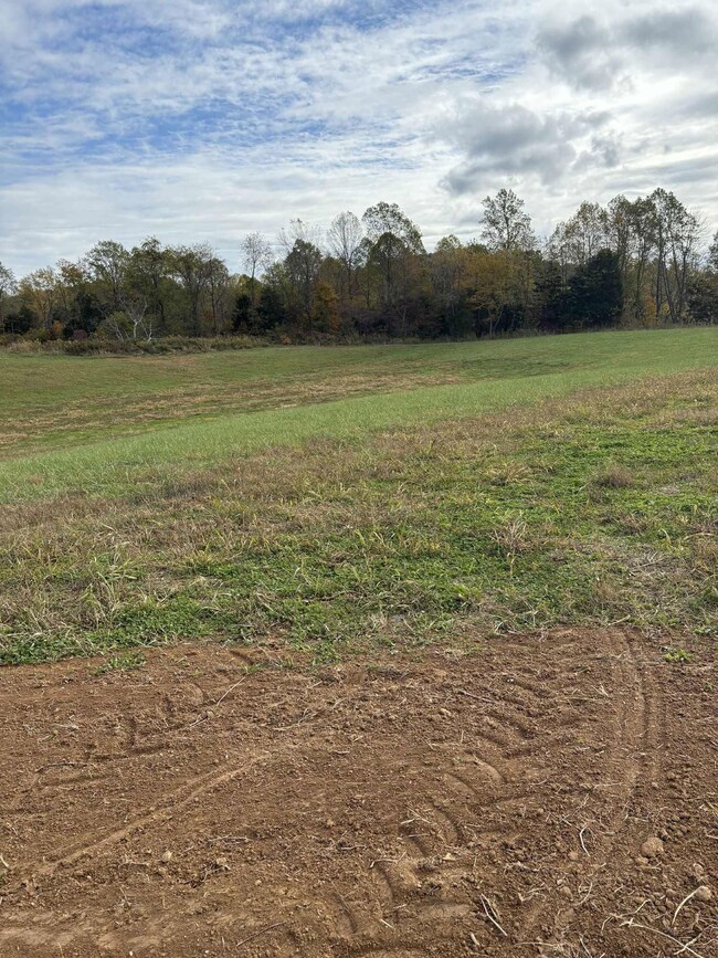 Pine Grove Ch Spur Rd, Vanceburg, KY 41179 - photo 4