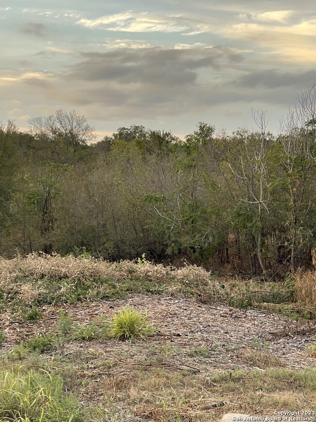 000 Riggs Rd, Helotes, TX 78023 - photo 5