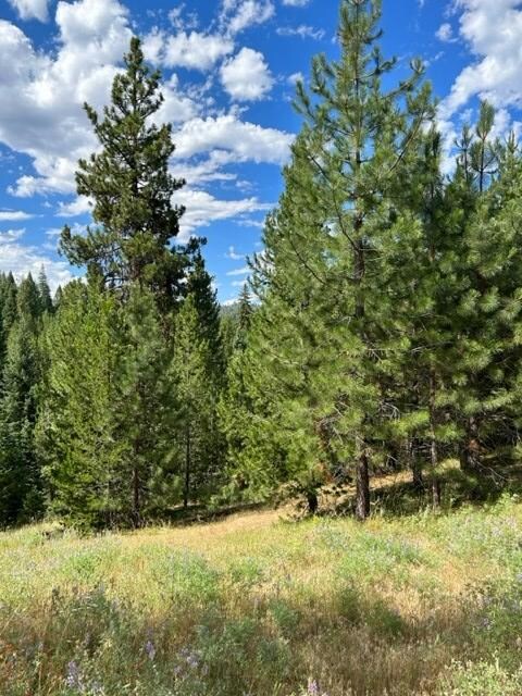 37 Challis Ln unit 13, Cascade, ID 83611 - photo 4