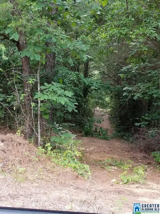 5 Charles Taylor Rd unit 5, Vance, AL 35490 - photo 7