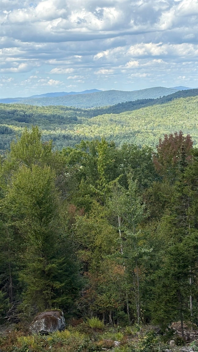 11 Summit Dr, Franconia, NH 03580 - photo 3