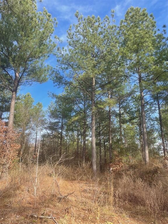 730 Timber Creek Trails South XI, Broken Bow, OK 74728 - photo 4