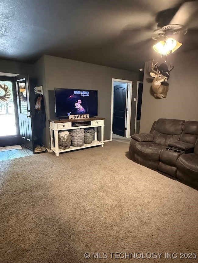 131 E Bk 800, Stigler, OK 74462 - photo 4