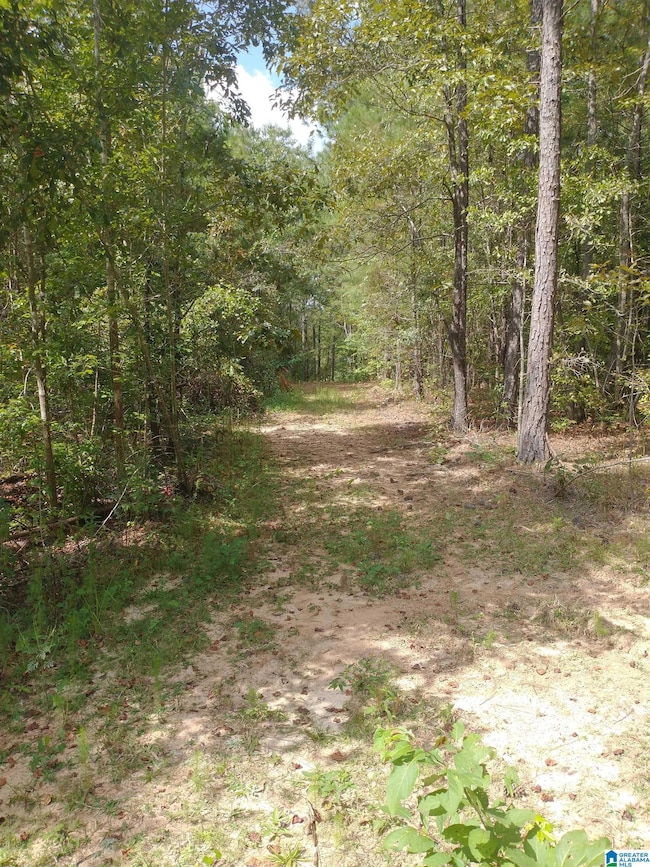 334 Serenity Ln, Alpine, AL 35160 - photo 2