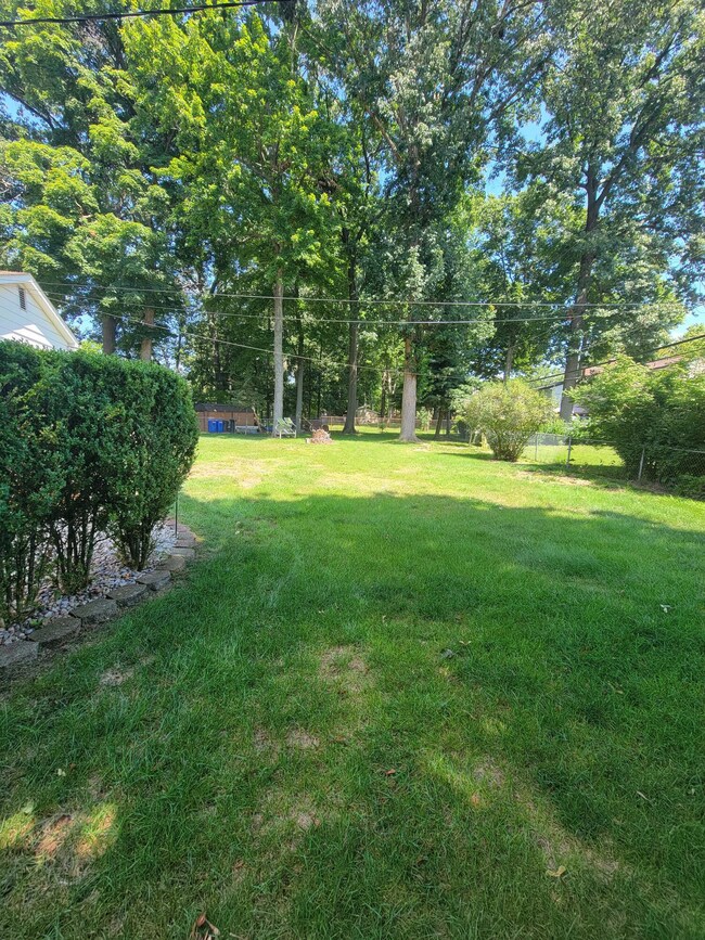 back yard