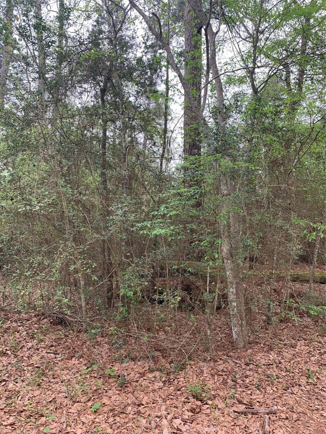 00001 Coe Loop, Magnolia, TX 77355 - photo 2
