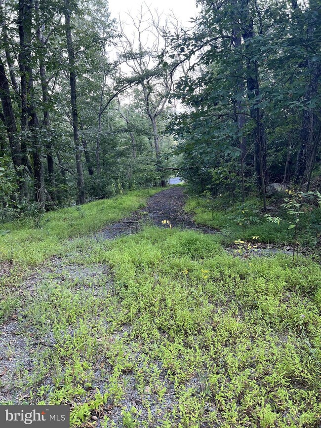 1137 Tomahawk Trail, Winchester, VA 22602 - photo 7