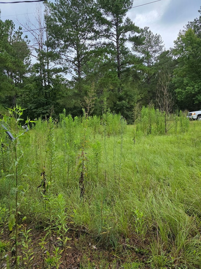 3157 Us Highway 98, McComb, MS 39648 - photo 5