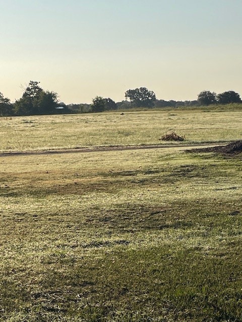 40606 Holik Rd, Hempstead, TX 77445 - photo 3