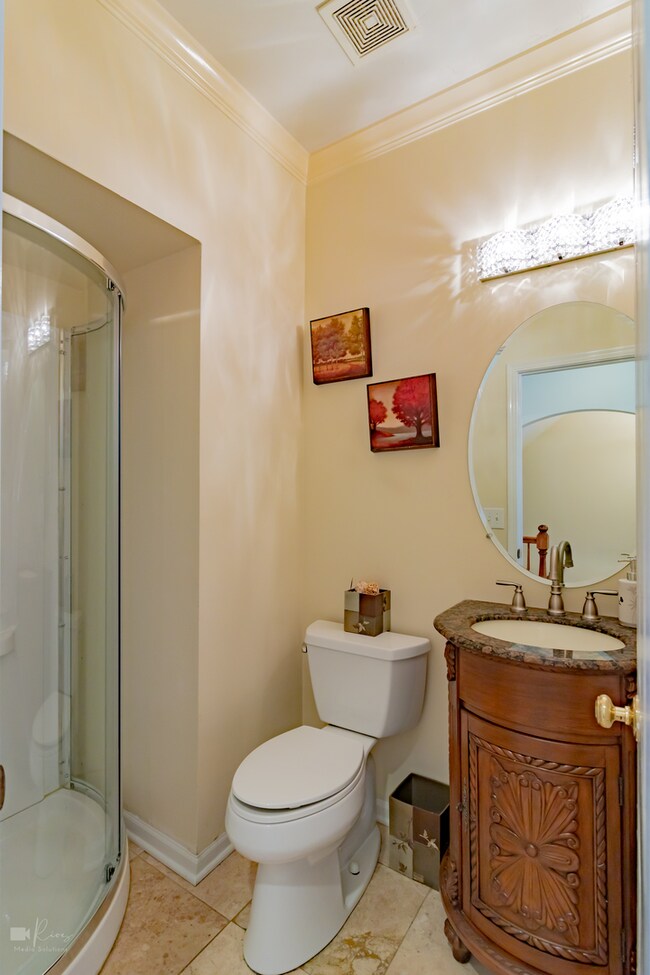 4756 Fesseneva Ln, Naperville, IL 60564 - photo 5