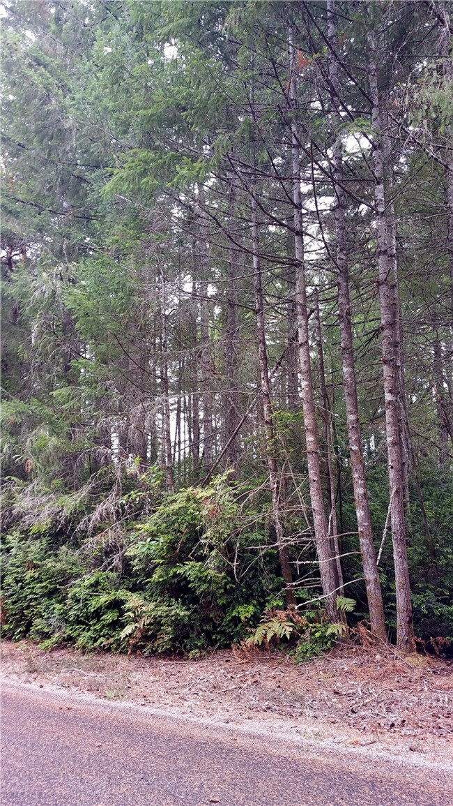 10911 104th St, Anderson Island, WA 98303 - photo 2