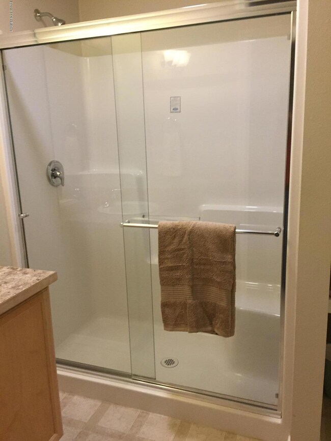 Master Walk In Shower