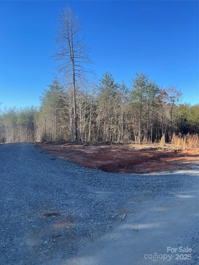 0 Springbrook Ln unit CAR4330953, Rutherfordton, NC 28117 - photo 4