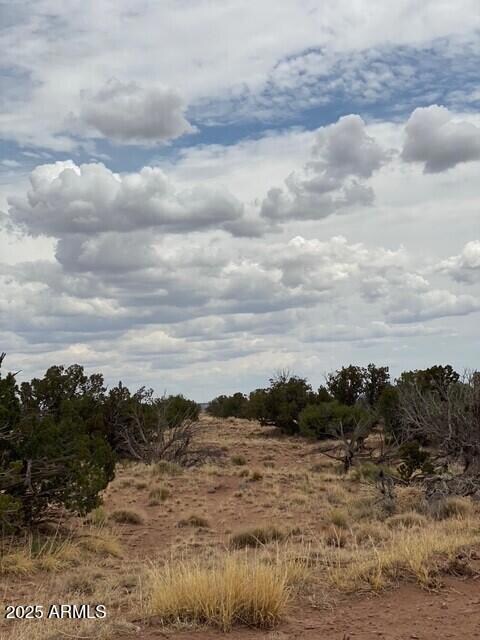 6286 N 6286 -- unit 204-60-301, Saint Johns, AZ 85936 - photo 5