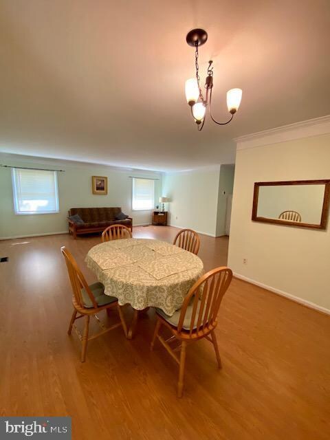 3511 Madonna Ln, Bowie, MD 20715 - photo 6