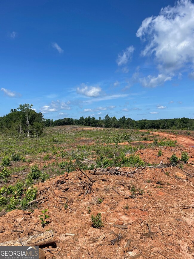 0 Allen Rd unit 10628619, Butler, GA 31006 - photo 5