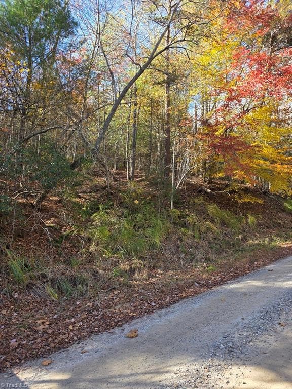 TBD Browntown Rd, Wilbar, NC 28651 - photo 2