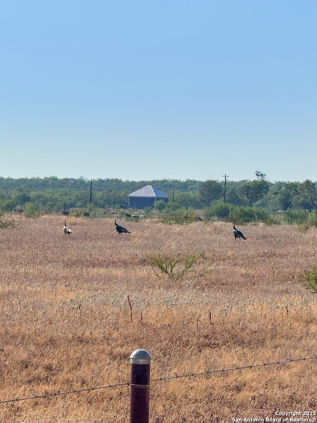 6870 County Road 329 (Tract 1-5), Jourdanton, TX 78026 - photo 2