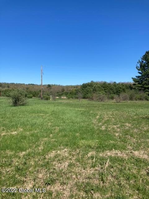 203 Ruhle Rd S, Ballston Lake, NY 12019 - photo 5