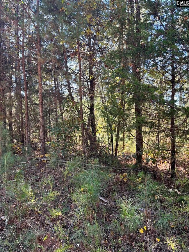 DRF 1 Dawkins Rd unit DRF 1, Pacolet, SC 29372 - photo 4