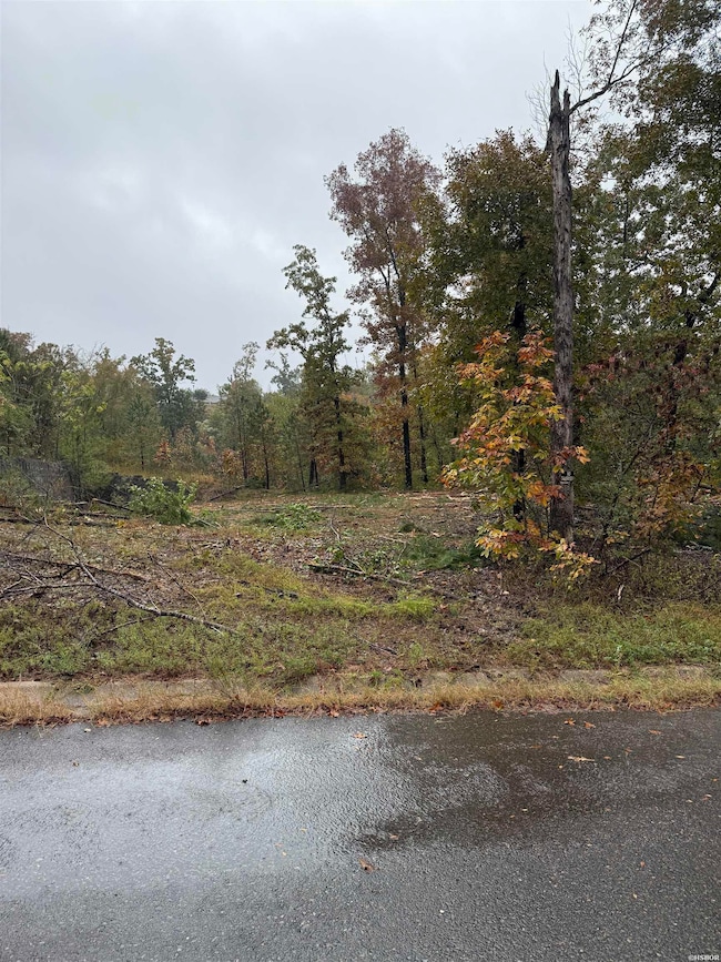 000 Palos Verdes Dr, Hot Springs, AR 71913 - photo 6