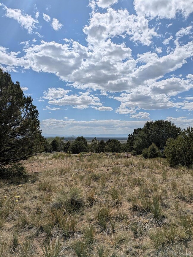 3213 Enchanted Ct, Crestone, CO 81131 - photo 5