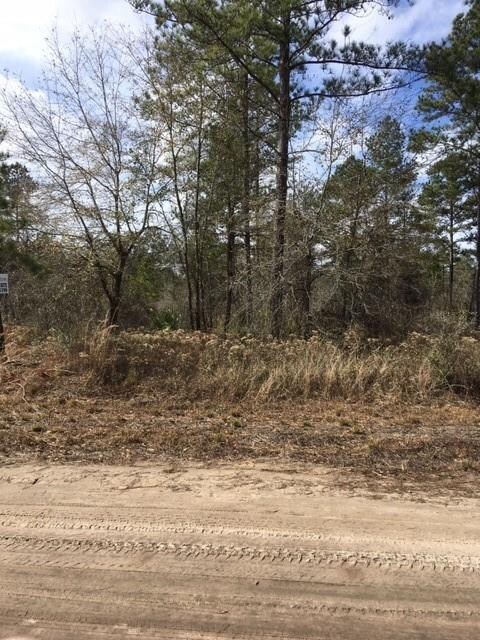 Lots 104 Colonial Coast Cir NE, Townsend, GA 31331 - photo 6