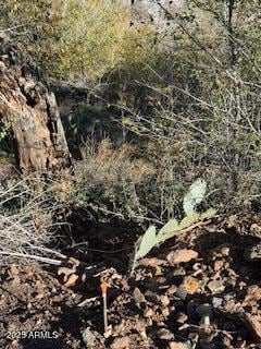 000 Diaz St unit 12,13,24,25, Jerome, AZ 86331 - photo 2