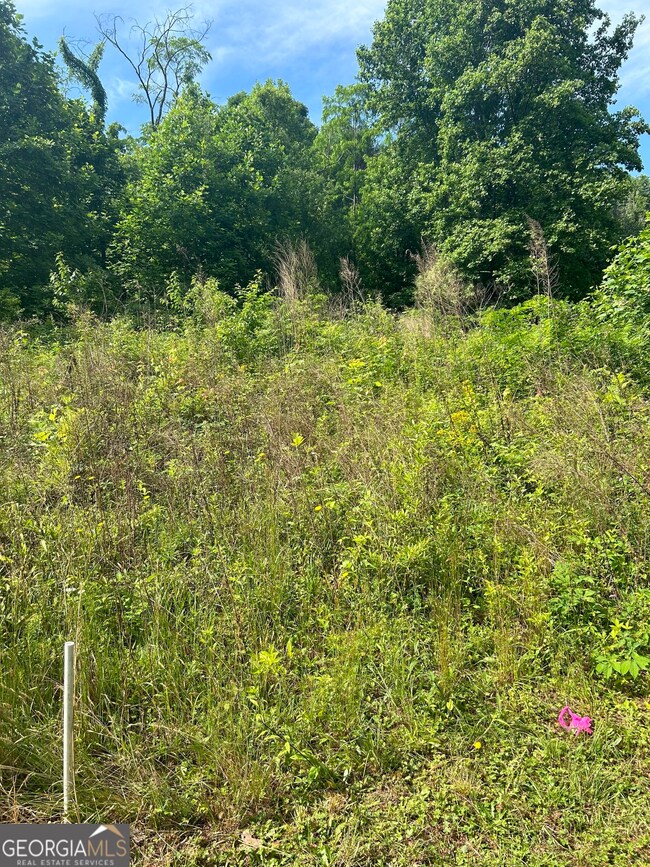 0 Orchard Dr unit 10306040, Clarkesville, GA 30523 - photo 5