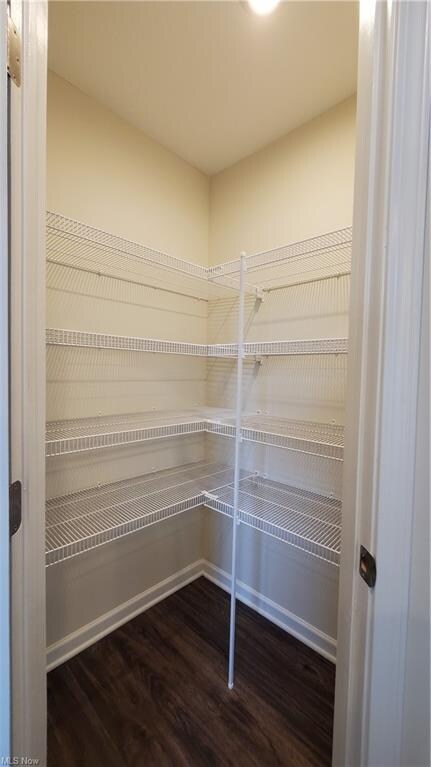Kitchen pantry