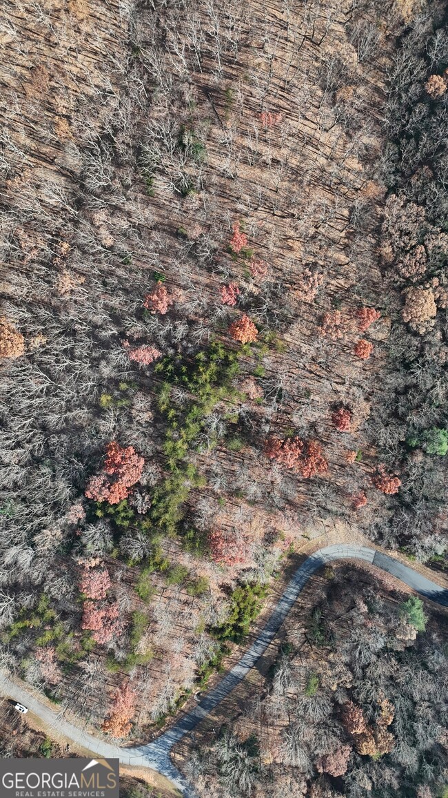 LOT 184 N Shore Dr, Cleveland, GA 30528 - photo 5