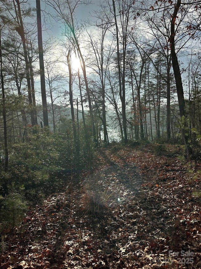 00 Jackson Cove Pkwy unit 2, Mill Spring, NC 28756 - photo 4