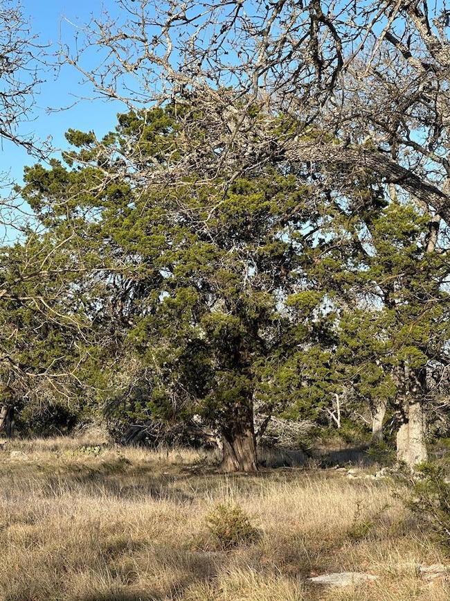 Lot 59