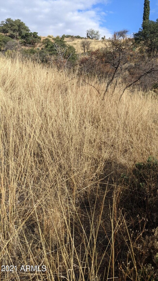 TBD Locklin Ave unit 43, Bisbee, AZ 85603 - photo 7