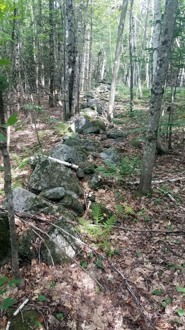 20200806_110058