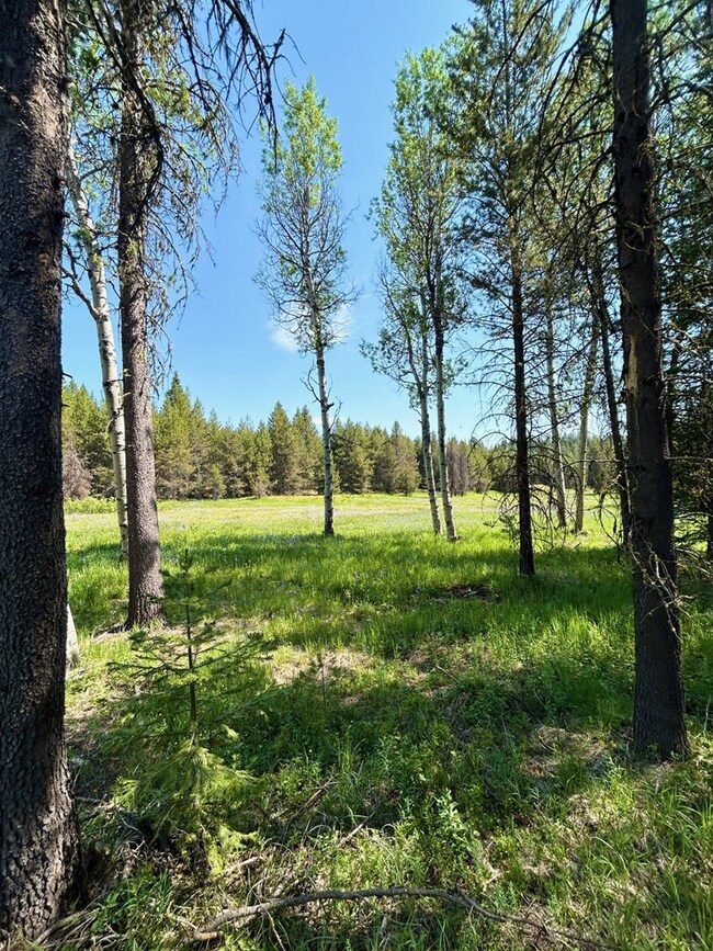 TBD Sawtooth Loop, Cascade, ID 83611 - photo 5